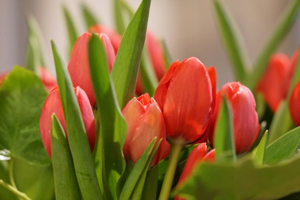 Ostern Kühlungsborn